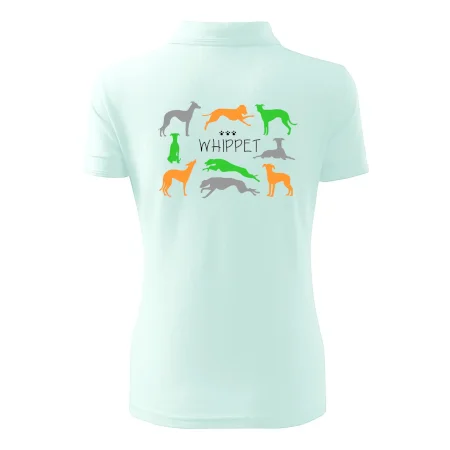 Whippet farebný