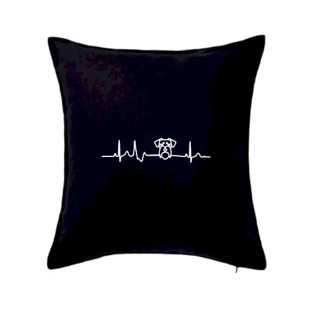 Ekg bradáč hlava
