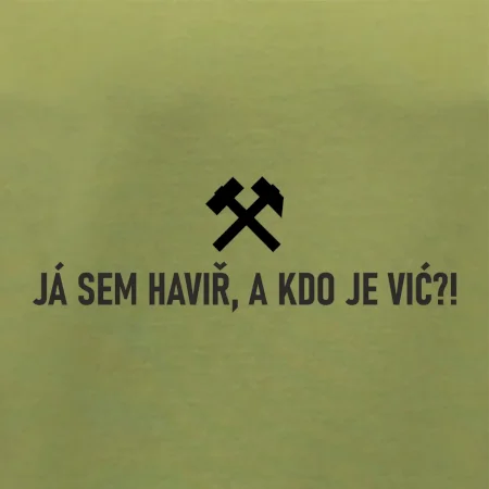 JÁ SEM HAVIŘ, A KDO JE VIĆ?!﻿