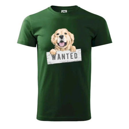 Zlatý retriever - šteniatko wanted