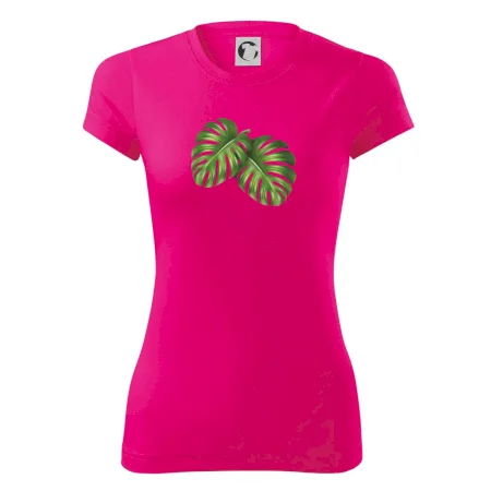 Monstera - dva listy