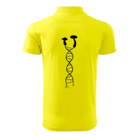 DNA huby