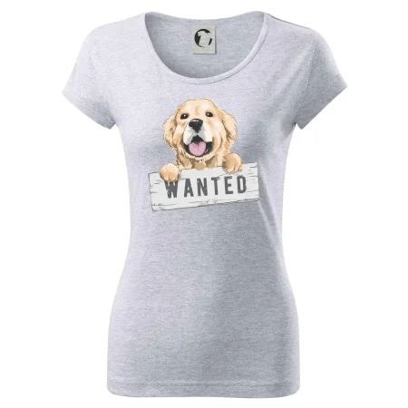Zlatý retriever - šteniatko wanted