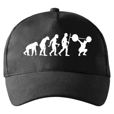 Evolution fitness