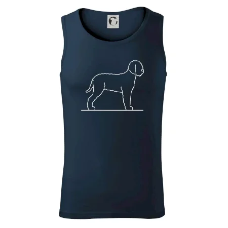 Lagotto romagnolo stojaci