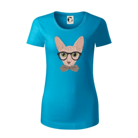 Hipster sphynx