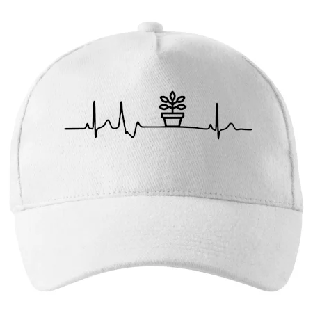 EKG fíkus
