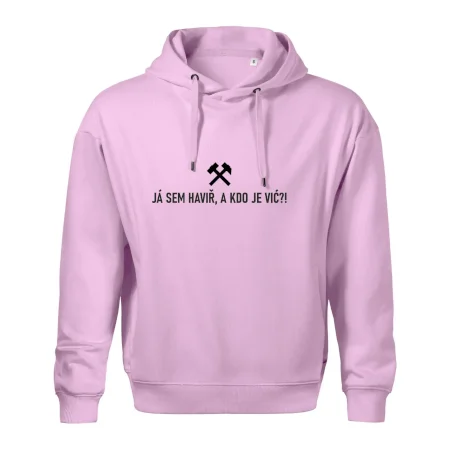 JÁ SEM HAVIŘ, A KDO JE VIĆ?!﻿