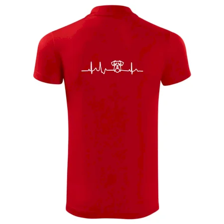 Ekg bradáč hlava