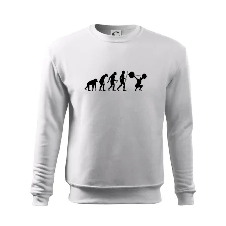 Evolution fitness