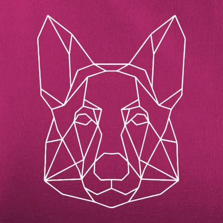Nemecký ovčiak - Geometria