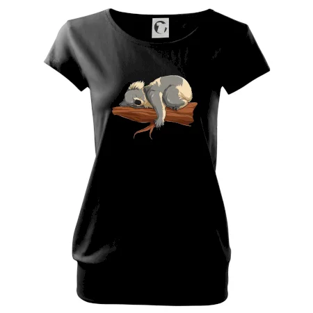 Koala na vetve