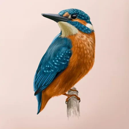 Ľadnáčik kreslený