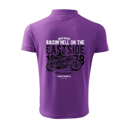 Raisin Hell Moto Racer