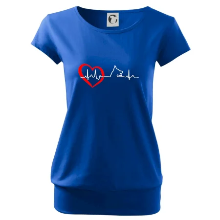 Nemecký ovčiak ekg