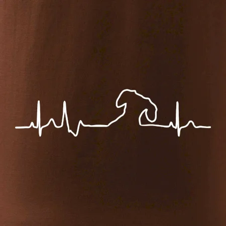 Jazvečík EKG