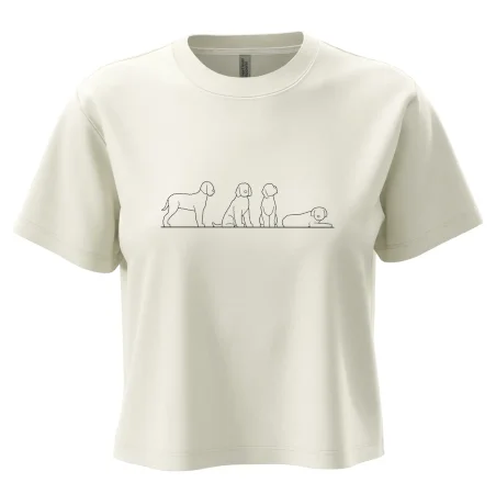 Lagotto romagnolo postavy linka
