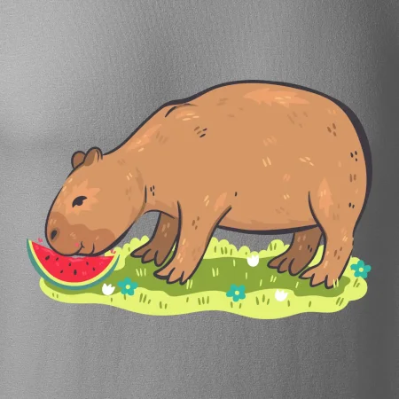 Kapybara a melón