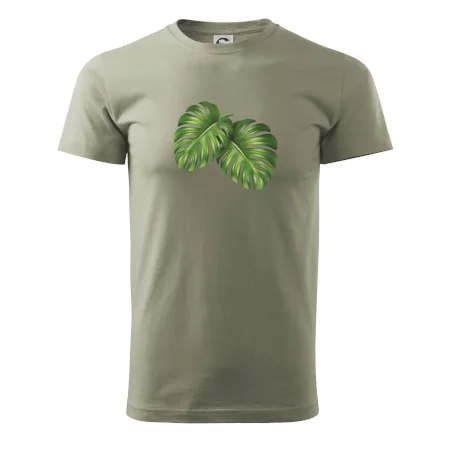Monstera - dva listy