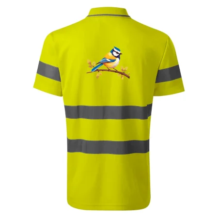 Sýkorka modrinka kreslená