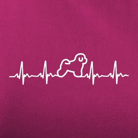 Bišónik ekg