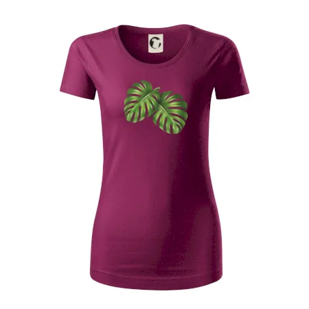 Monstera - dva listy