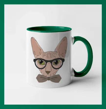 Hipster sphynx