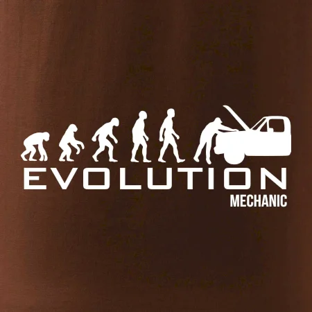 Evolúcia mechanik