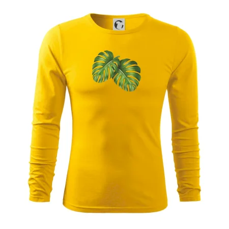 Monstera - dva listy