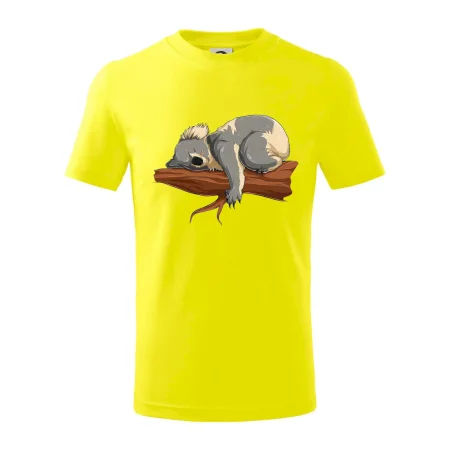 Koala na vetve