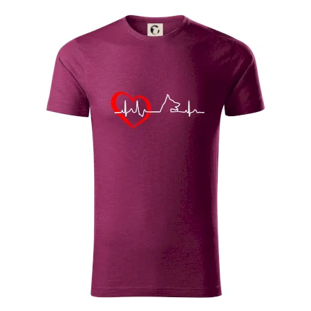 Nemecký ovčiak ekg