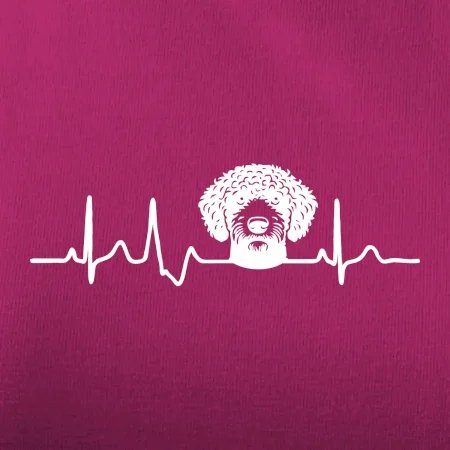Lagotto romagnolo hlava EKG