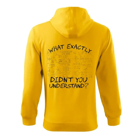 What exactly didn't you understand - physics