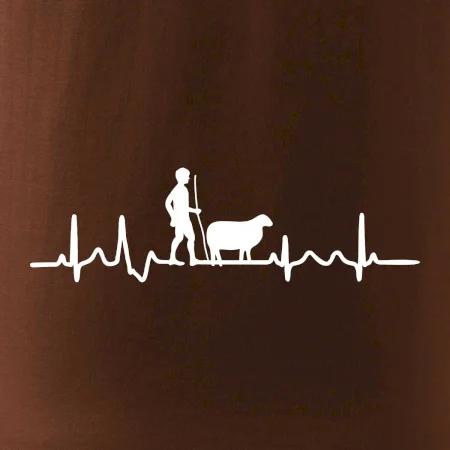 Ekg pastier oviec