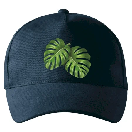 Monstera - dva listy