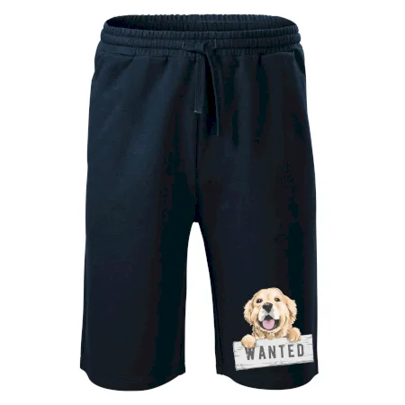 Zlatý retriever - šteniatko wanted