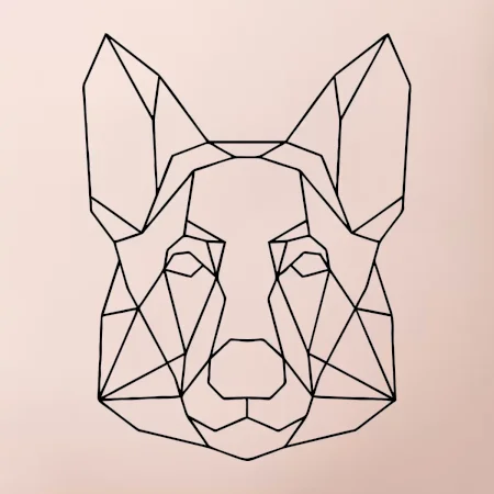 Nemecký ovčiak - Geometria