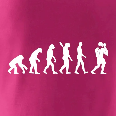 Evolúcia box