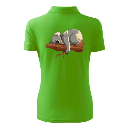 Koala na vetve