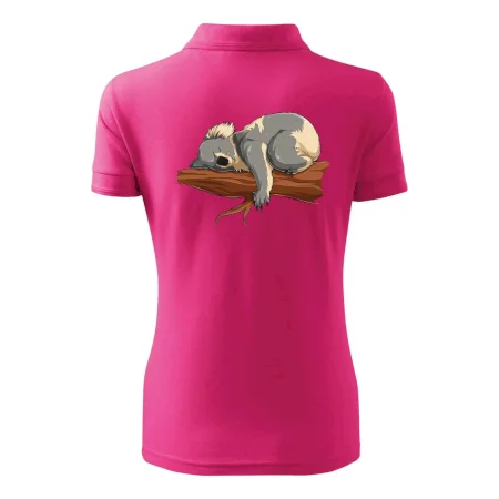 Koala na vetve
