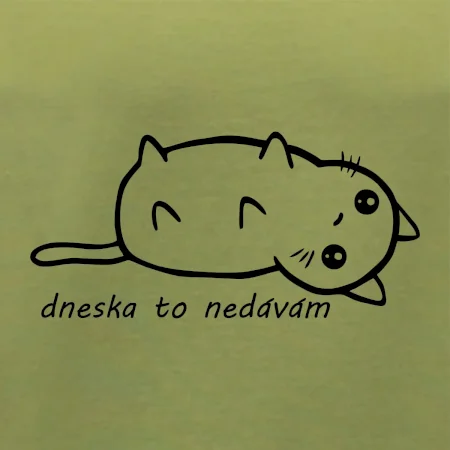 Dnes to nedávam