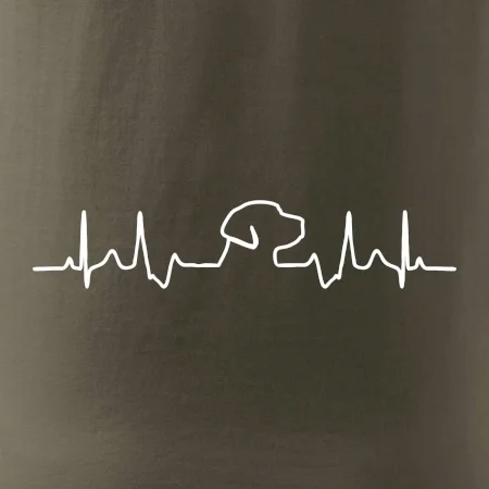 Labradorský retriever‎ EKG