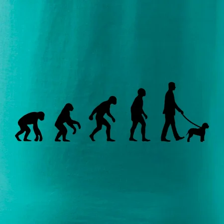 Lagotto romagnolo Evolúcia