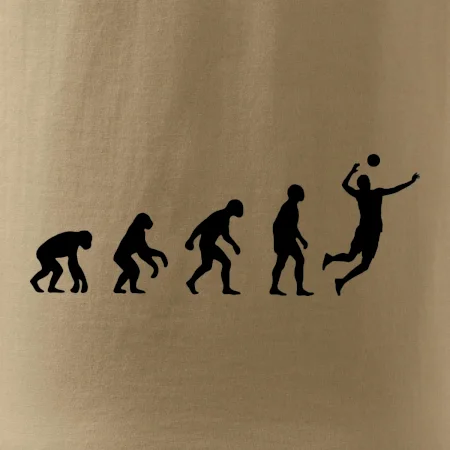 Evolúcia volejbal smeč