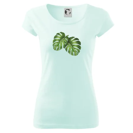 Monstera - dva listy