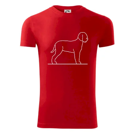 Lagotto romagnolo stojaci