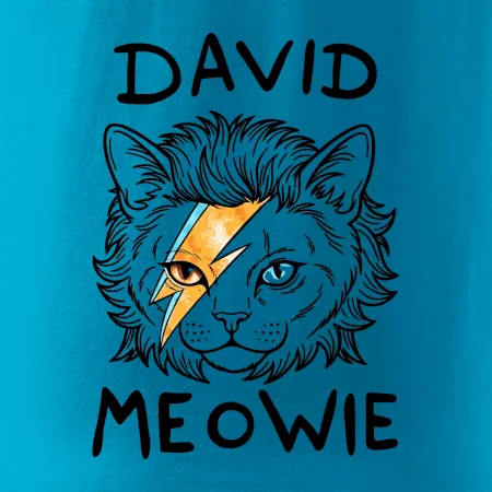 David Meowie