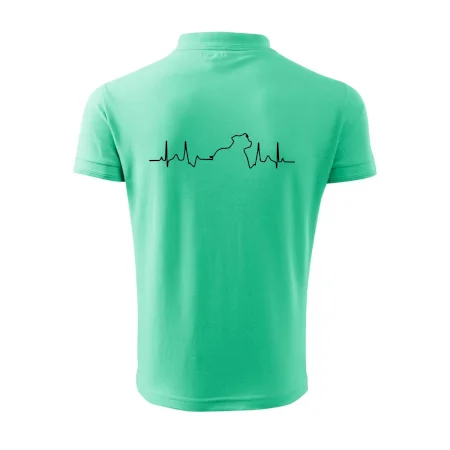 Stafordšírsky bulteriér ‎ EKG