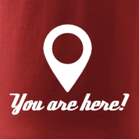 You are here