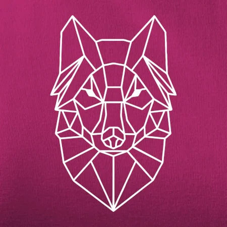 Geometria - vlk